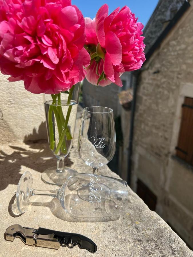 La Maison D'Alienor - Gites De Caractere A Chablis - 89 Eksteriør billede