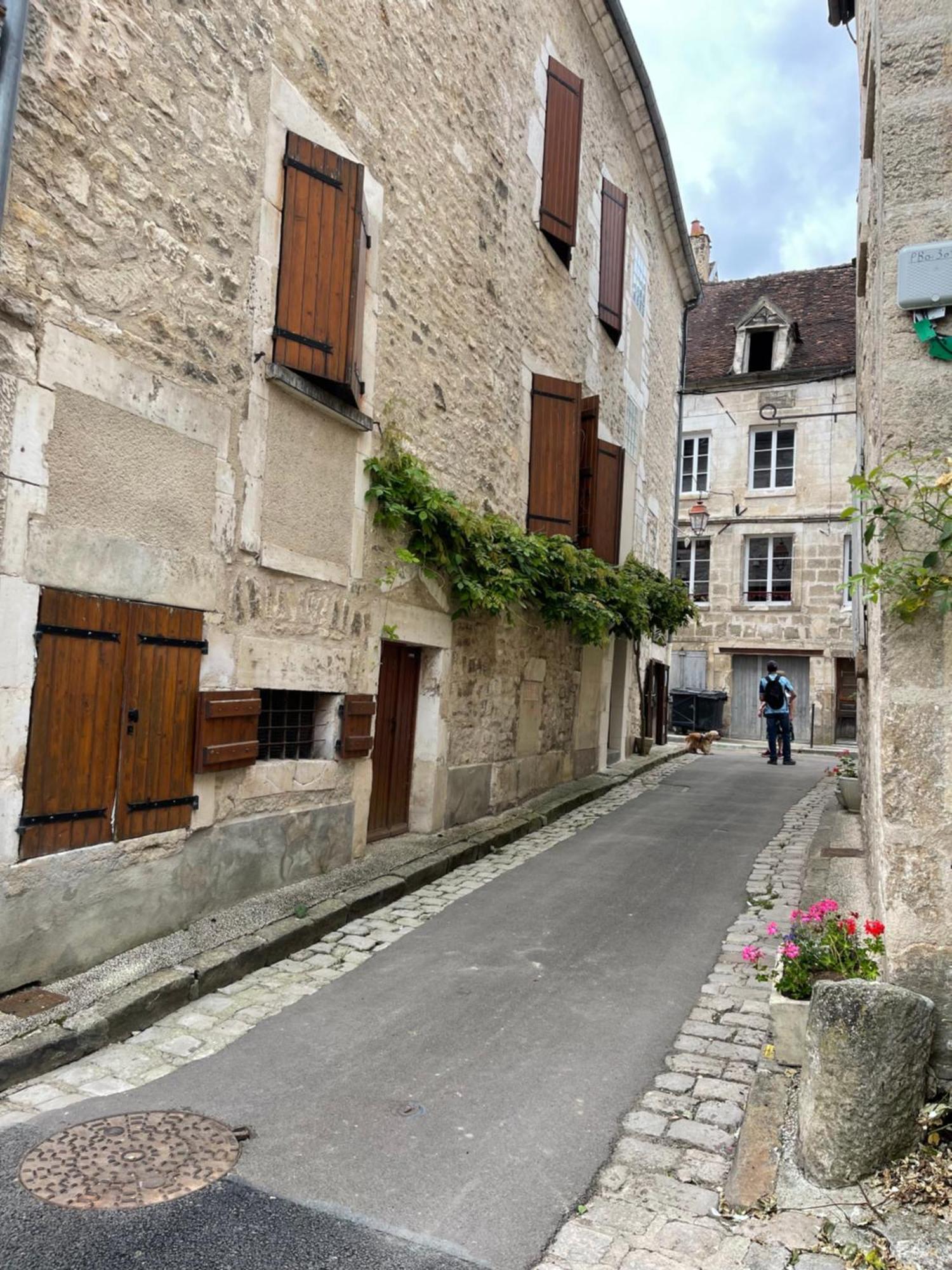 La Maison D'Alienor - Gites De Caractere A Chablis - 89 Eksteriør billede